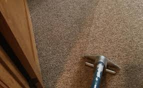 residential carpet cleaning austin s