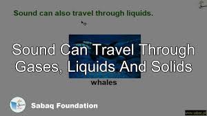 sound can travel through gases liquids