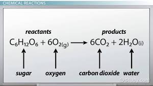 Hess S Law Definition Diagram
