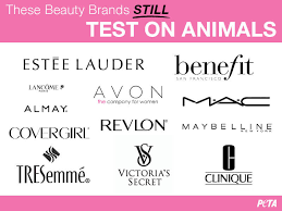 testing free makeup brands