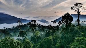 Di malaysia sebagai contoh, perkembangan pesat sektor pelancong amat dibantu oleh khazanah kepelbagaian biologi hutannya. Lokasi Lokasi Cantik Ini Pasti Buat Anda Jatuh Cinta Dengan Sabah Tripfez Blog