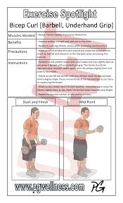 exercise spotlight poster bicep curl