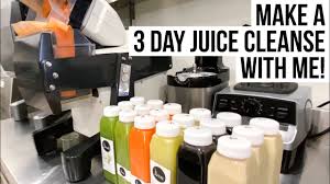 day juice cleanse juicing recipes