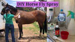 diy horse fly spray with wss equestrian