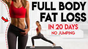 full body fat loss in 20 days no