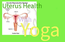 yoga for uterus problems female