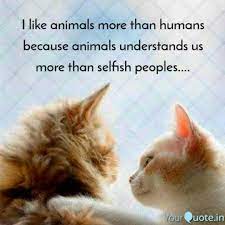 21 truths for people who like animals more than other humans. I Like Animals More Than Quotes Writings By Nikki Bhardwaj Yourquote