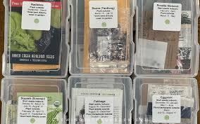 seed storage organization tips