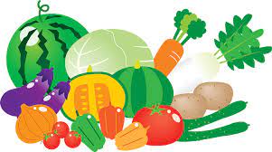 Vegetables From The Garden Clipart
