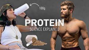 protein to build muscle science