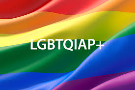 LGBTQIAP+: Você sabe o que essa sigla significa?