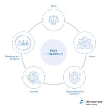 Die durchführung eines internen audits ist in jedem managementsystem ein. Psci Auditprogramm At Tuv Rheinland