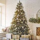 How do you prolong the life of a fresh Christmas tree?
