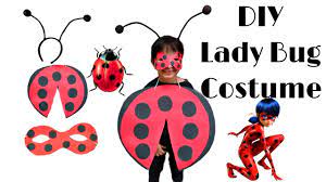 halloween costume ladybug costume