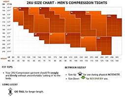 2xu men s mcs run compression tights
