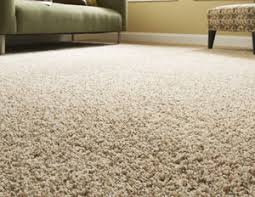 carpet removal and carpet care
