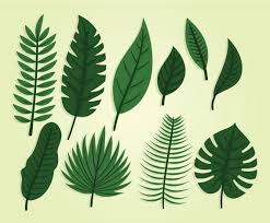 Download clker's leaf 2 clip art and related images now. Green Leaves Clipart Set Vector Art Graphics Freevector Com