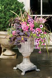 Unfortunately, these plants die off once fall comes and need replacement each year. 125 Container Gardening Ideas Southern Living