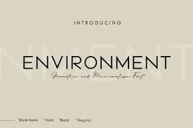 environment font fontsera