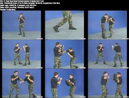 hand combat weapons tactics