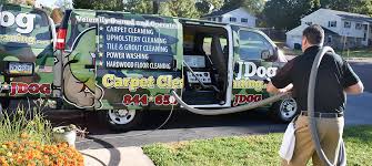 jdog carpet cleaning and floor care