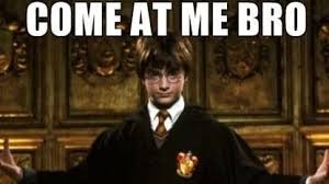 Image result for harry potter memes