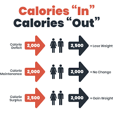 stop counting calories