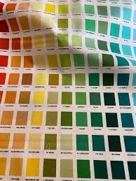 Kona Printed Color Chart Panel By