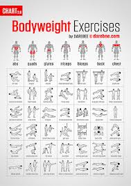 Bodyweight Exercises Chart Easy To Hard The Hive