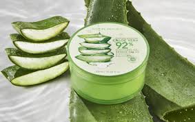 Skin exposed to sunlight for a long time by outdoor activities, aloevera good in moisturizing helps to soothe tired skin. 11 Manfaat Dan Cara Penggunaan Nature Republic Aloe Vera 92 Soothing Gel