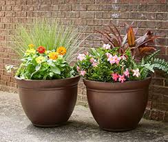 Southern Patio Hdr Planter 3 Pack