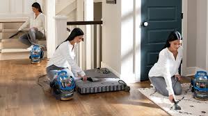 portable carpet cleaners upholstery