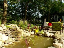 how to build a backyard water feature
