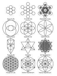 the flower of life junction point