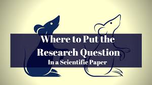 It is simpler than a term paper or dissertation. Where Does The Research Question Go In A Paper Wordvice