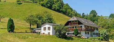See traveller reviews, 8 candid photos, and great deals for haus gisela, ranked #21 of 35 b&bs / inns in austria and rated 5 of 5 at tripadvisor. Ferienwohnungen Gisela Munstertal Schwarzwald