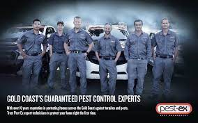 Pest ex is a leading pest control & termite treatment services company based in gold coast got pests? Pest Ex Pest Management Home Facebook