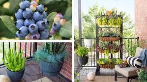 Small Space Balcony Garden