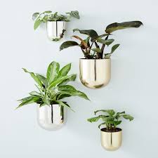 20 best wall planters gorgeous indoor