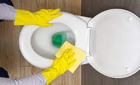 How To Clean A Toilet The Home Depot