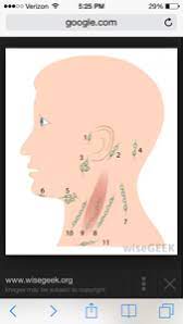 lymph nodes on back of head may 2016