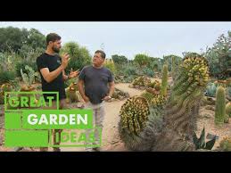 Jason Visits The Largest Cactus