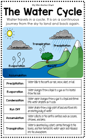 Science Mini Anchor Charts Science Classroom Science