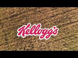Reflecting On Sustainability Achievements At Kellogg Company