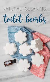 diy toilet cleaning s for a healthy