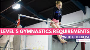 level 5 gymnastics requirements