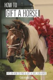 gift a horse as a christmas present