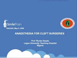 cleft lecture prof ronke desalu