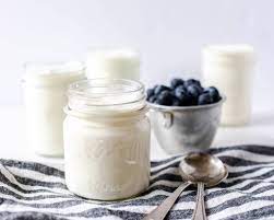 homemade crockpot yogurt greek yogurt