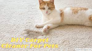 diy carpet cleaner for pets